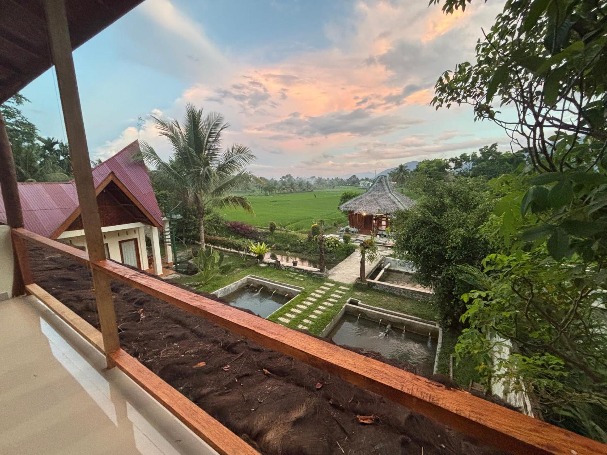 Sumatra Expedition Lodge Bukit Lawang Buitenkant foto