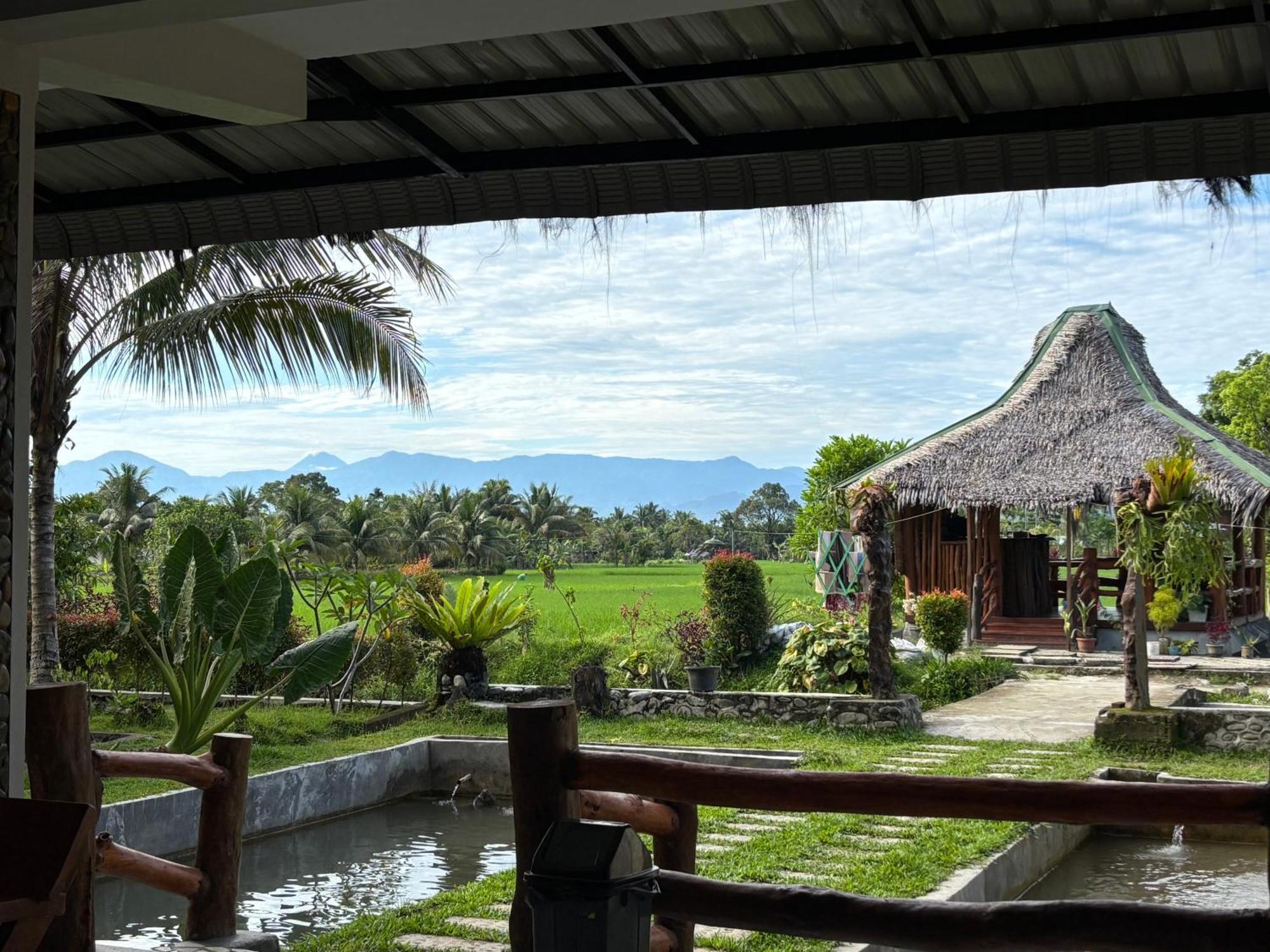 Sumatra Expedition Lodge Bukit Lawang Buitenkant foto