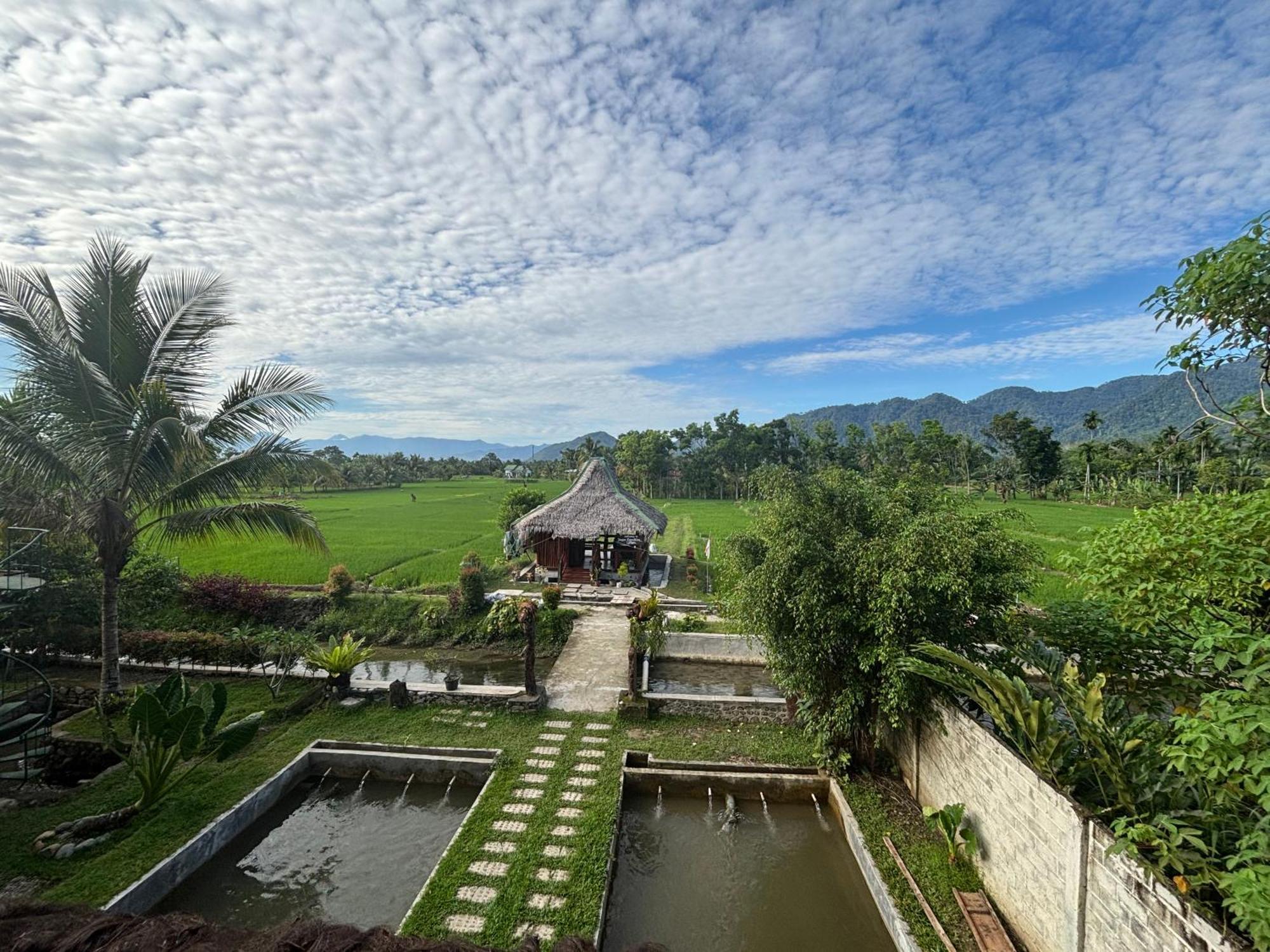 Sumatra Expedition Lodge Bukit Lawang Buitenkant foto